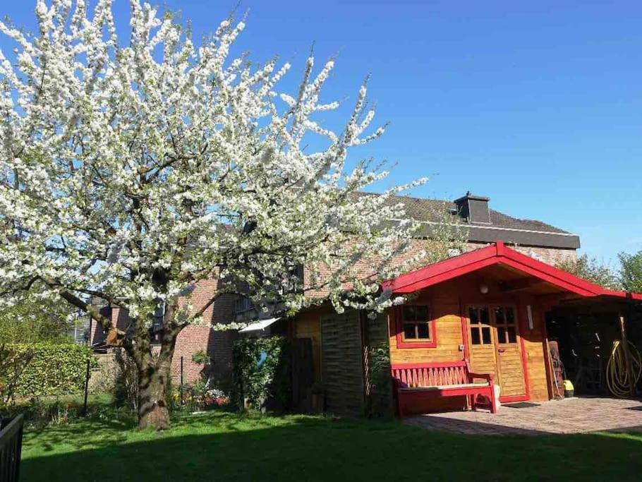 Suesse Souterrain-Wohnung Mit Anbindung Nach Muenster Altenberge  Exterior foto